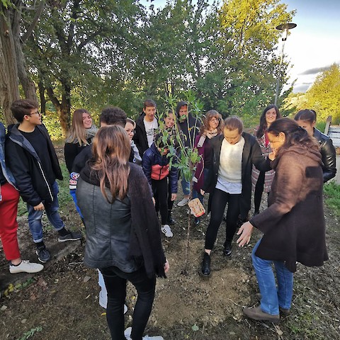 Urbino - Festa dell'albero