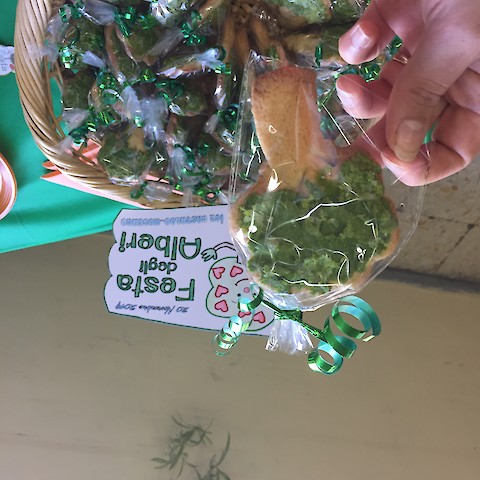 Festa dell'Albero - Afragola