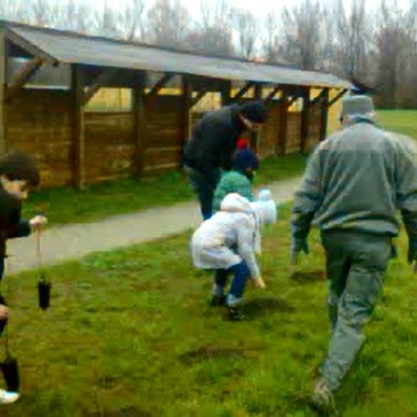 Festa dell'Albero - Cassano d'Adda