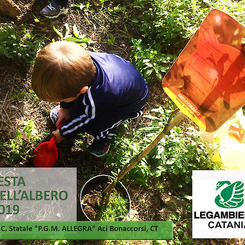 Festa dell'Albero - Catania