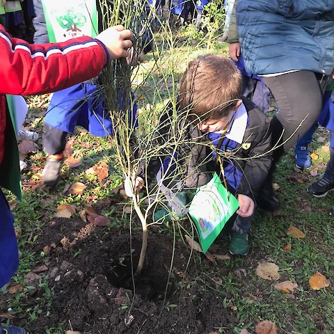 Settimana del verde Urbano
