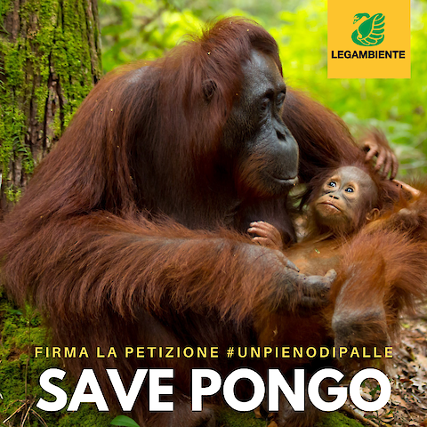 Rimini - Accordo Eni-Hera per i mezzi di raccolta rifiuti alimentati a EniDiesel+